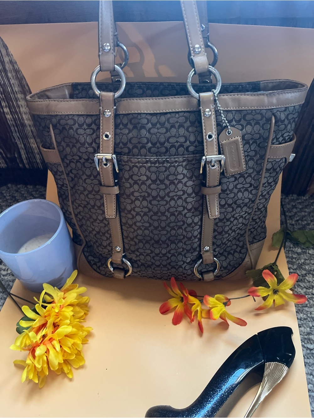 Coach Signature Brown Tote Bag